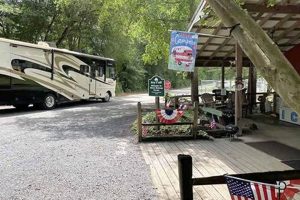 SC's River Bottom Farms: A Farming Legacy | The Conscious Farmer | Sustainable Agriculture for a Healthier Planet