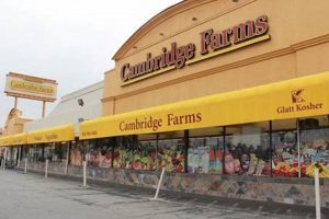 Local Cambridge Farms: Fresh Produce & More | The Conscious Farmer | Sustainable Agriculture for a Healthier Planet