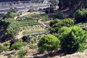 Visit Alemany Farm San Francisco: Urban Farming Oasis | The Conscious Farmer | Sustainable Agriculture for a Healthier Planet