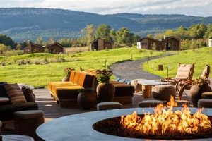 Local Wildflower Farms: Read Reviews & Ratings | The Conscious Farmer | Sustainable Agriculture for a Healthier Planet