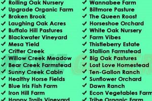 [Expert] Farmer Name: Success Tips &amp; Strategies | The Conscious Farmer | Sustainable Agriculture for a Healthier Planet