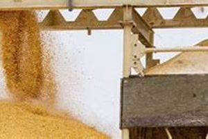 Buy Farm Service Elevator: Installation &amp; Safety Tips | The Conscious Farmer | Sustainable Agriculture for a Healthier Planet