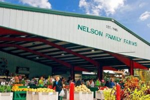 Visit Nelson's Farm: Fresh & Local Produce! | The Conscious Farmer | Sustainable Agriculture for a Healthier Planet