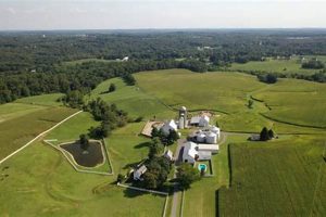 Your Pooldale Farms: Sustainable Farming Solutions Guide | The Conscious Farmer | Sustainable Agriculture for a Healthier Planet