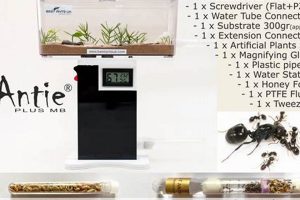 Grow Ant Farm Kits: Your Tiny World of Farming! | The Conscious Farmer | Sustainable Agriculture for a Healthier Planet