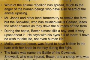 Animal Farm: Chapter 4 Summary & Battle Guide | The Conscious Farmer | Sustainable Agriculture for a Healthier Planet