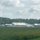 Tyrrell Work Farm: Past Farming & Future Lessons | The Conscious Farmer | Sustainable Agriculture for a Healthier Planet