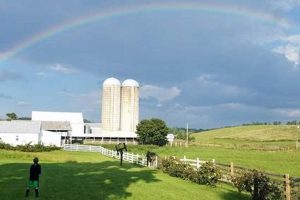 Your Guide to Creambrook Farm: Fresh & Local! | The Conscious Farmer | Sustainable Agriculture for a Healthier Planet