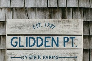 Your Glidden Oyster Farm Guide: Cultivating Success! | The Conscious Farmer | Sustainable Agriculture for a Healthier Planet