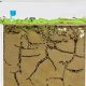 Building a Large Ant Farm: Your Guide to Thriving Colonies | The Conscious Farmer | Sustainable Agriculture for a Healthier Planet
