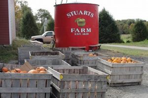 Visiting Stuart Farm NY: A Guide + Local Produce | The Conscious Farmer | Sustainable Agriculture for a Healthier Planet