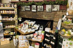 Your Local Fo Castle Farm Country Store: [County/Region] Fresh! | The Conscious Farmer | Sustainable Agriculture for a Healthier Planet