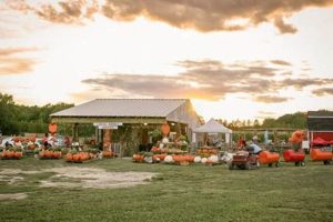 Visit Hickory Ridge Farm Today: Fresh & Local! | The Conscious Farmer | Sustainable Agriculture for a Healthier Planet