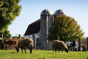 Visit Wolcott Mill Farm Center: A Farming Heritage! | The Conscious Farmer | Sustainable Agriculture for a Healthier Planet