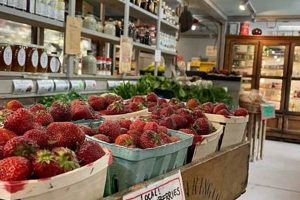 Grow Together: The "Chip In Farm" Revolution in Farming | The Conscious Farmer | Sustainable Agriculture for a Healthier Planet