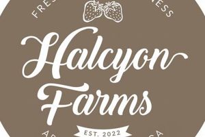Guide to Halcyon Farm: Sustainable Farming | The Conscious Farmer | Sustainable Agriculture for a Healthier Planet