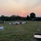 Discover MENA Farm Virginia: Cultivating Heritage Crops | The Conscious Farmer | Sustainable Agriculture for a Healthier Planet