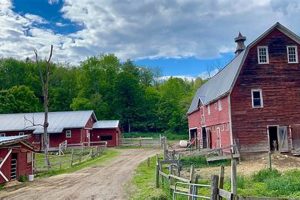 Grow More: Nettle Meadow Farm Secrets & Tips | The Conscious Farmer | Sustainable Agriculture for a Healthier Planet