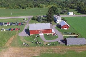 Your CNY Farm Guide: Grow Local, Shop CNY! | The Conscious Farmer | Sustainable Agriculture for a Healthier Planet