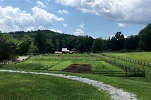 Visit Fosterfields Living Historical Farm: A Step Back In Time! | The Conscious Farmer | Sustainable Agriculture for a Healthier Planet