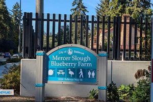 Visit Mercer Slough Blueberry Farm: U-Pick Fun! | The Conscious Farmer | Sustainable Agriculture for a Healthier Planet