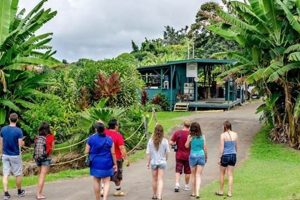 Unveiling Greenwell Farms Coffee Tour: A Kona Farming Gem | The Conscious Farmer | Sustainable Agriculture for a Healthier Planet