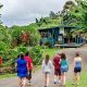 Unveiling Greenwell Farms Coffee Tour: A Kona Farming Gem | The Conscious Farmer | Sustainable Agriculture for a Healthier Planet