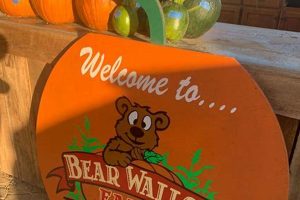 Explore Bear Wallow Farm, Nancy KY: A Kentucky Gem | The Conscious Farmer | Sustainable Agriculture for a Healthier Planet