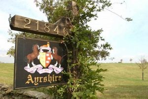 A Guide to the Ayrshire Farm: Heritage &amp; High-Quality | The Conscious Farmer | Sustainable Agriculture for a Healthier Planet
