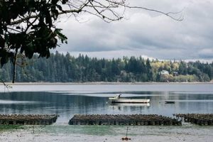 Explore Chelsea Farms Olympia: Local Farming Gem | The Conscious Farmer | Sustainable Agriculture for a Healthier Planet