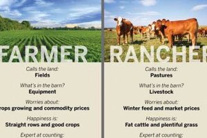 Farming: Farm vs. Ranch - Spot the Difference! | The Conscious Farmer | Sustainable Agriculture for a Healthier Planet
