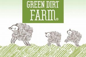 Eco Green Dirt Farm: Sustainable Farming Today | The Conscious Farmer | Sustainable Agriculture for a Healthier Planet