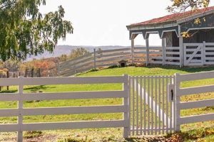 Discover Hilltop Hanover Farm: Farming Excellence &amp; More | The Conscious Farmer | Sustainable Agriculture for a Healthier Planet
