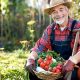 Unlock Spanish Farming: Agricultor &amp; Granero Guide | The Conscious Farmer | Sustainable Agriculture for a Healthier Planet