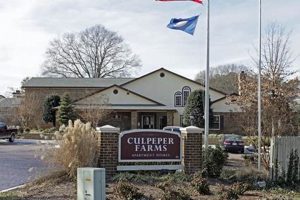 Explore Culpeper Farms: Your Local Farming Guide | The Conscious Farmer | Sustainable Agriculture for a Healthier Planet