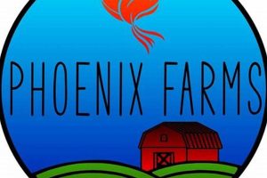 Reviving Phoenix Farms: Sustainable Agriculture for All | The Conscious Farmer | Sustainable Agriculture for a Healthier Planet