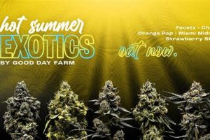 Your Guide to Good Day Farms Boonville: Products &amp; More | The Conscious Farmer | Sustainable Agriculture for a Healthier Planet