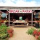 Discover Balsam Farm Amagansett: A Farming Gem! | The Conscious Farmer | Sustainable Agriculture for a Healthier Planet