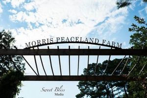 Your Guide to Morris Peaceland Farm & Farming Tips | The Conscious Farmer | Sustainable Agriculture for a Healthier Planet