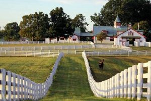 Discover Calumet Farms: A Legacy in Horse Farming | The Conscious Farmer | Sustainable Agriculture for a Healthier Planet