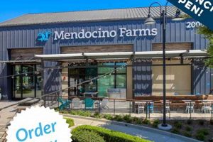 Guide to Mendocino Farms Porter Ranch: Menu & More | The Conscious Farmer | Sustainable Agriculture for a Healthier Planet