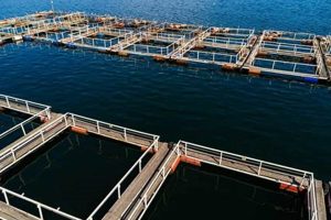 Sustainable Farming: Discover the Power of Water Farms | The Conscious Farmer | Sustainable Agriculture for a Healthier Planet