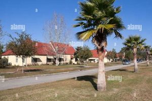 Discover Penney Farms: Senior Living Oasis in Florida | The Conscious Farmer | Sustainable Agriculture for a Healthier Planet
