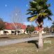 Discover Penney Farms: Senior Living Oasis in Florida | The Conscious Farmer | Sustainable Agriculture for a Healthier Planet