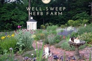 Grow Your Own: Well Sweep Herb Farm Tips & Tricks | The Conscious Farmer | Sustainable Agriculture for a Healthier Planet