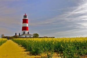 Exploring Lighthouse Farms: The Future of Farming | The Conscious Farmer | Sustainable Agriculture for a Healthier Planet