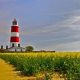 Exploring Lighthouse Farms: The Future of Farming | The Conscious Farmer | Sustainable Agriculture for a Healthier Planet