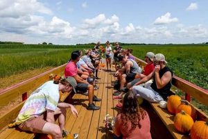 Experience Magnolia Meadow Farms: Sustainable Farming | The Conscious Farmer | Sustainable Agriculture for a Healthier Planet