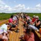 Experience Magnolia Meadow Farms: Sustainable Farming | The Conscious Farmer | Sustainable Agriculture for a Healthier Planet