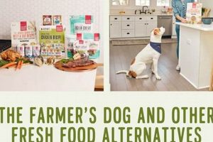 Best Fresh Dog Food: Farmer's Dog Alternatives Compared | The Conscious Farmer | Sustainable Agriculture for a Healthier Planet
